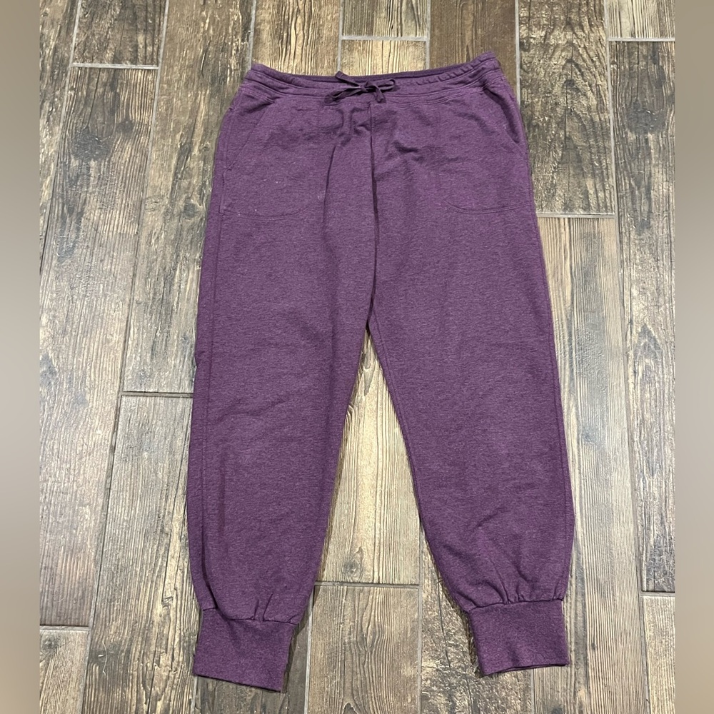 Patagonia cropped jogger sweatpants